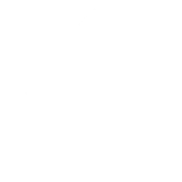 Vini Jr India Tour logo